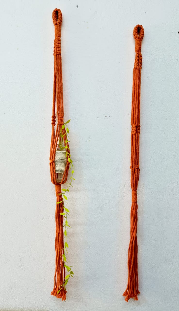 WhatsApp Image 2025-01-30 at 4.51.35 PM