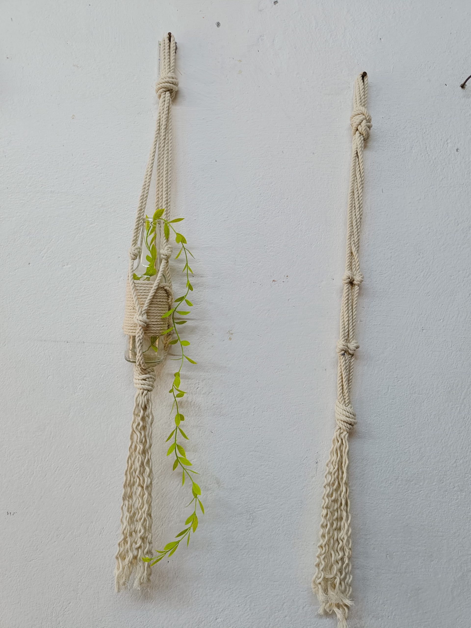 WhatsApp Image 2025-02-01 at 4.25.12 PM