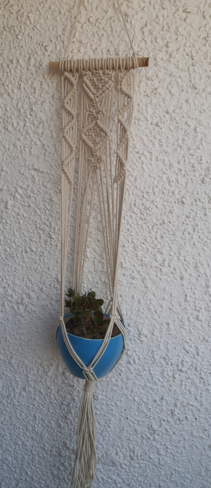 WhatsApp Image 2025-02-03 at 1.10.21 PM