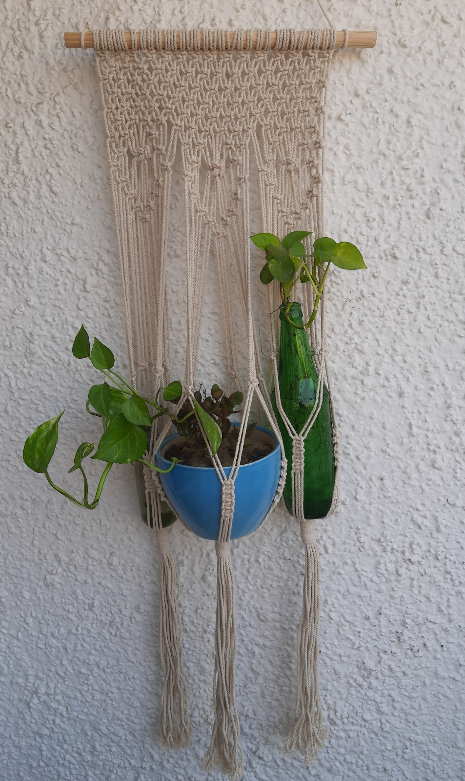 WhatsApp Image 2025-02-03 at 1.23.22 PM (1)