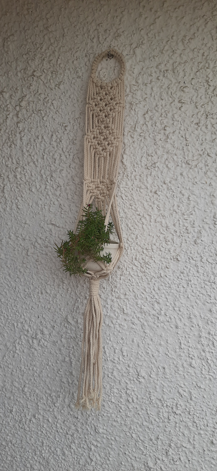 WhatsApp Image 2025-02-03 at 1.23.28 PM (1)