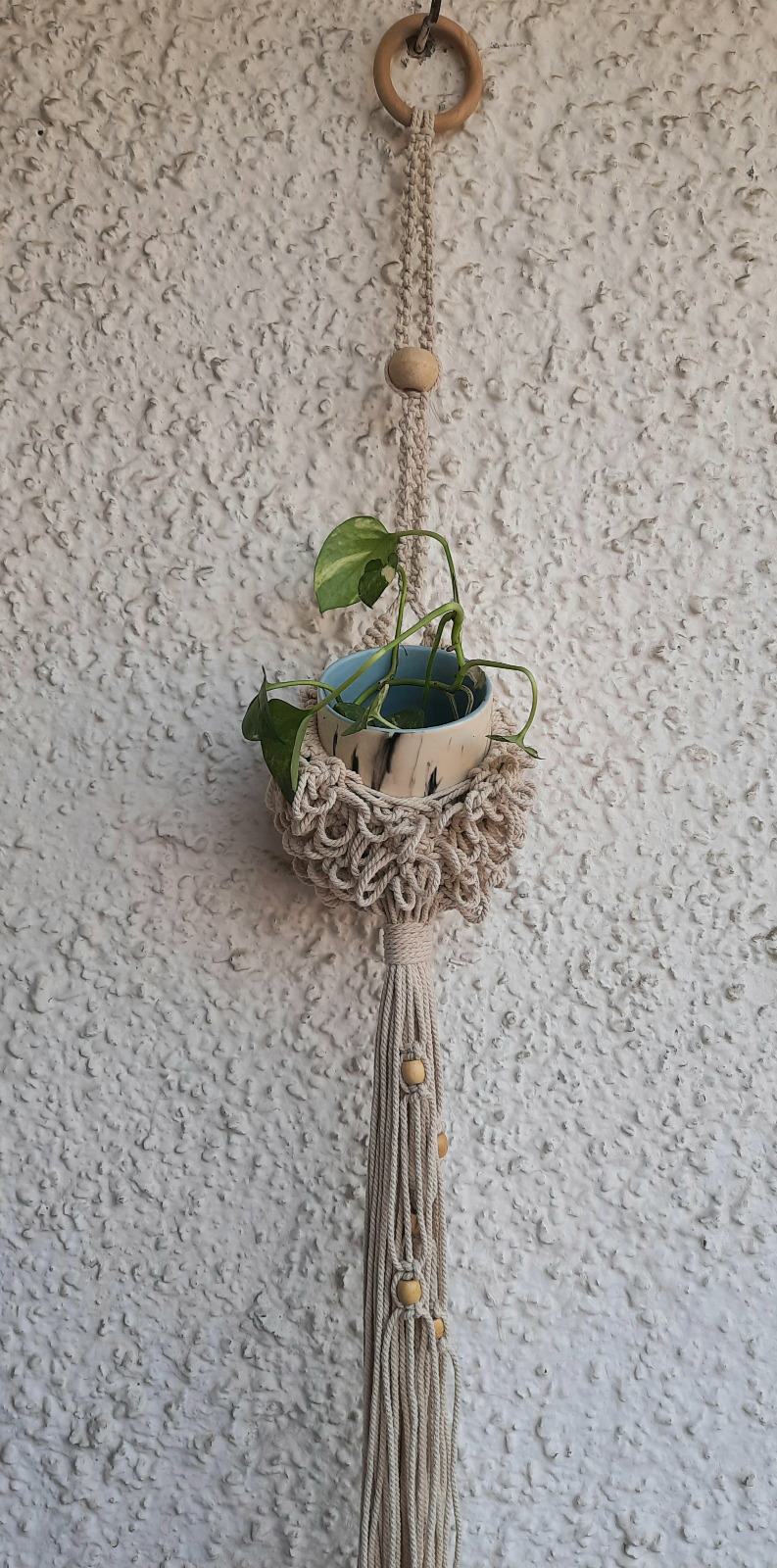 WhatsApp Image 2025-02-03 at 1.23.28 PM (2)