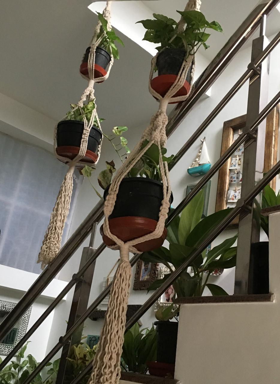 WhatsApp Image 2025-02-03 at 1.23.30 PM (1)