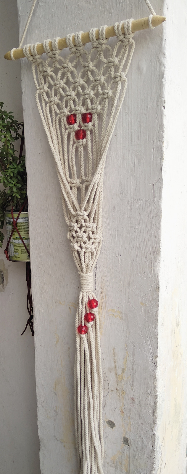 WhatsApp Image 2025-02-03 at 1.36.24 PM