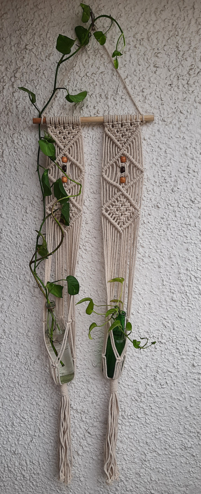 WhatsApp Image 2025-02-03 at 12.53.19 PM